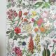 Lithograph on flowers from 1928 "rose bushes"