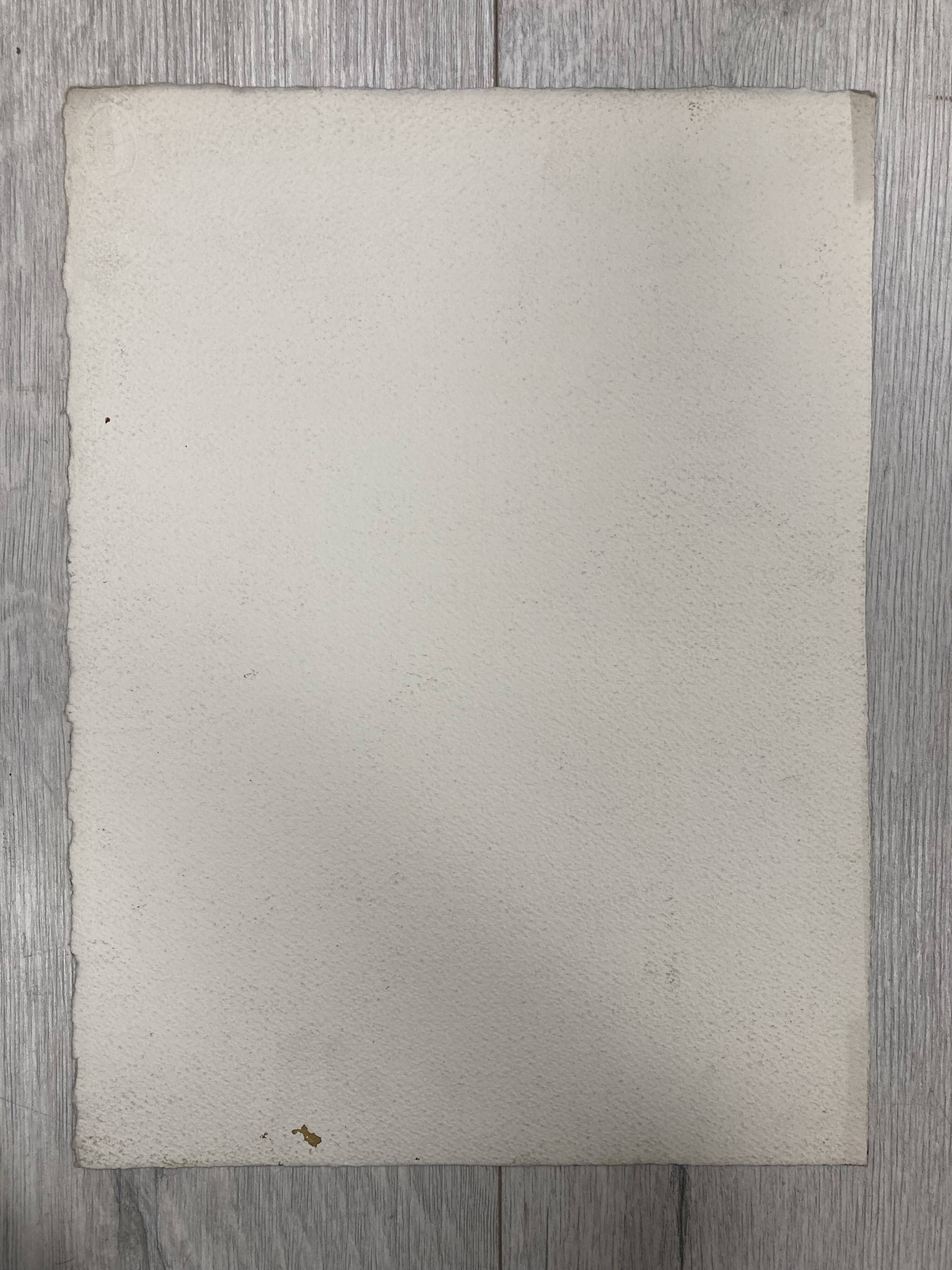 Aquarelle Maison aux Iris
