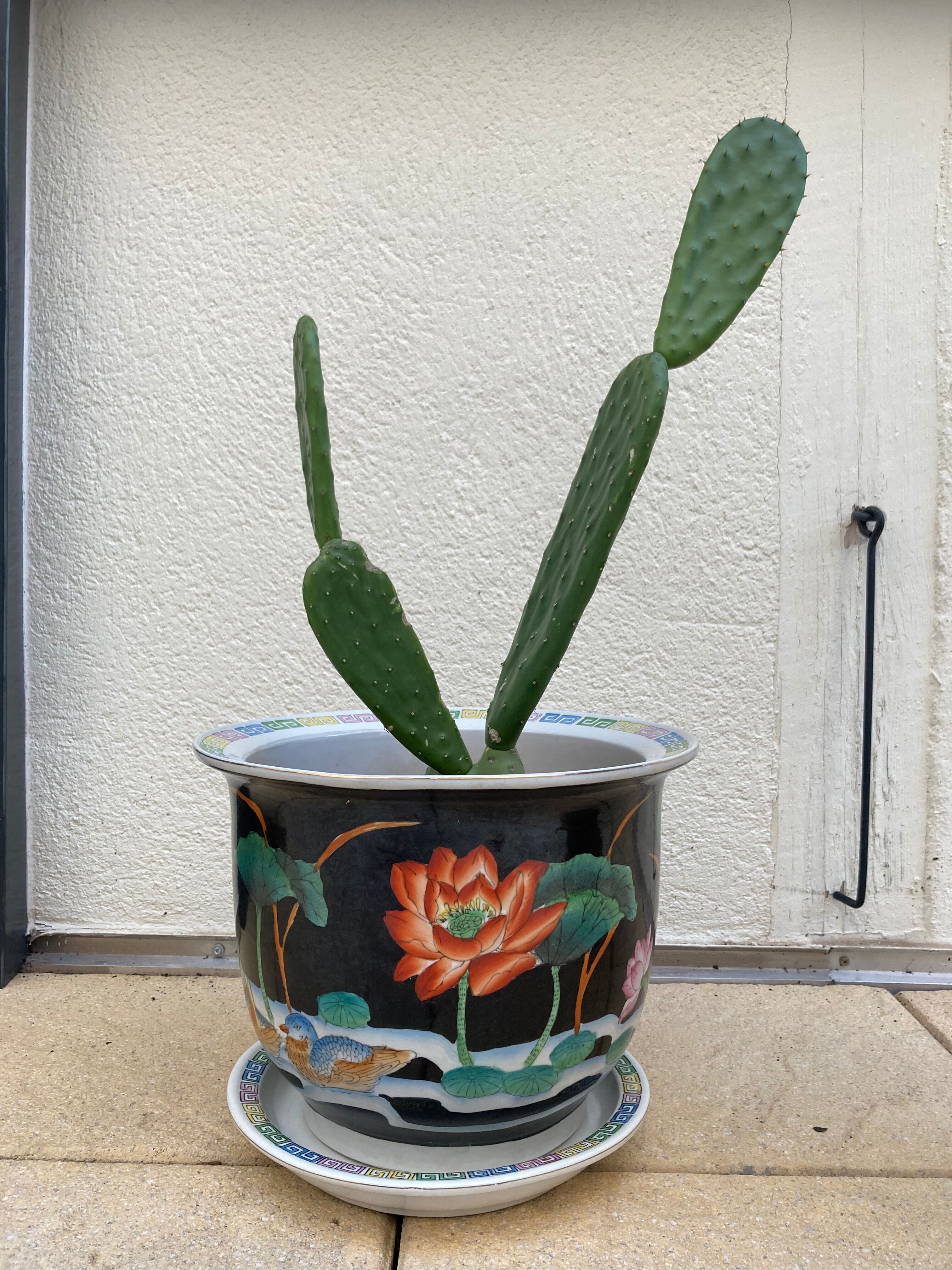 Cache pot and chinese saucer XXeme