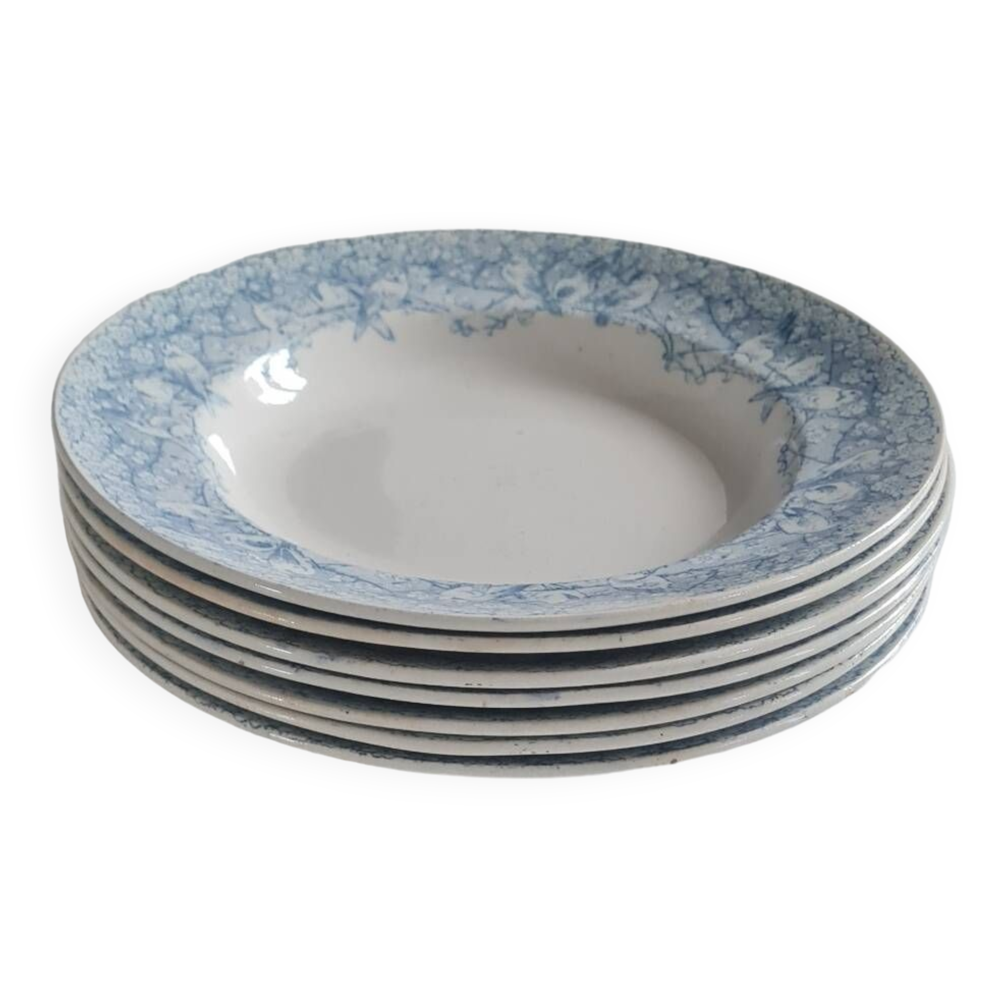 Service of 7 hollow plates in iron clay