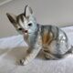 Figurine, Cat statuette, in old 20th century enameled ceramic. Animal figurine, vintage feline