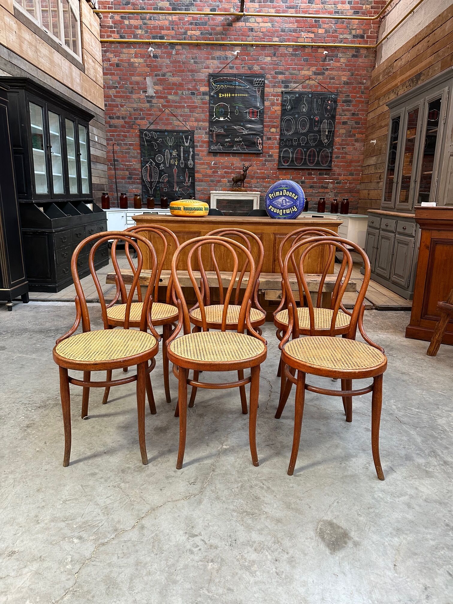 Suite of 6 bistro chairs