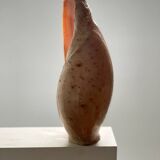 Large Melo Amphora seashell.