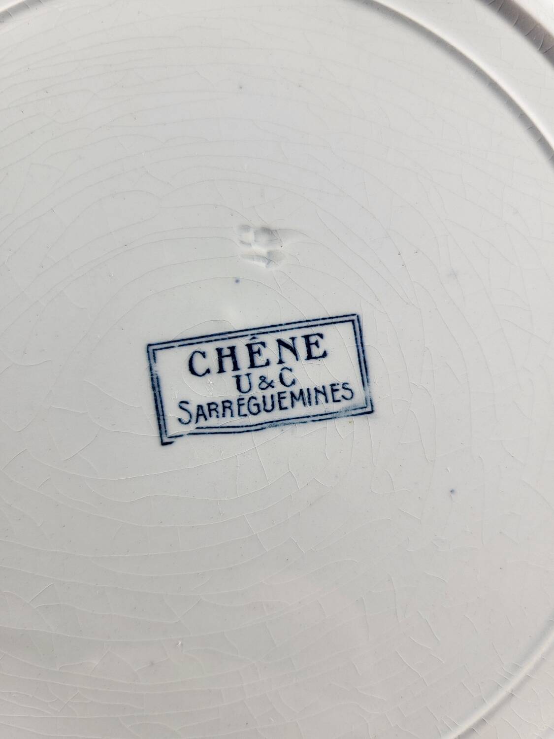 6 assiettes plates Sarreguemines Modèle chêne