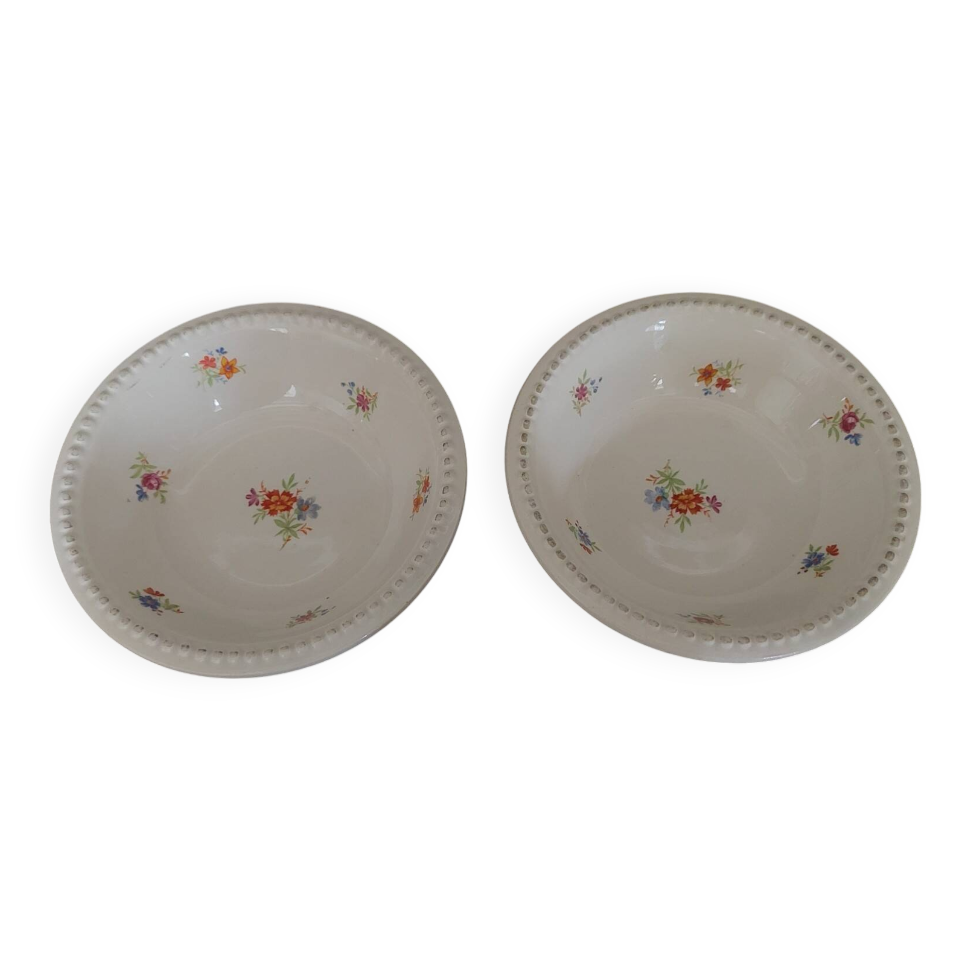 Pair of Digoin earthenware bowls with cliff decoration