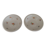 Pair of Digoin earthenware bowls with cliff decoration