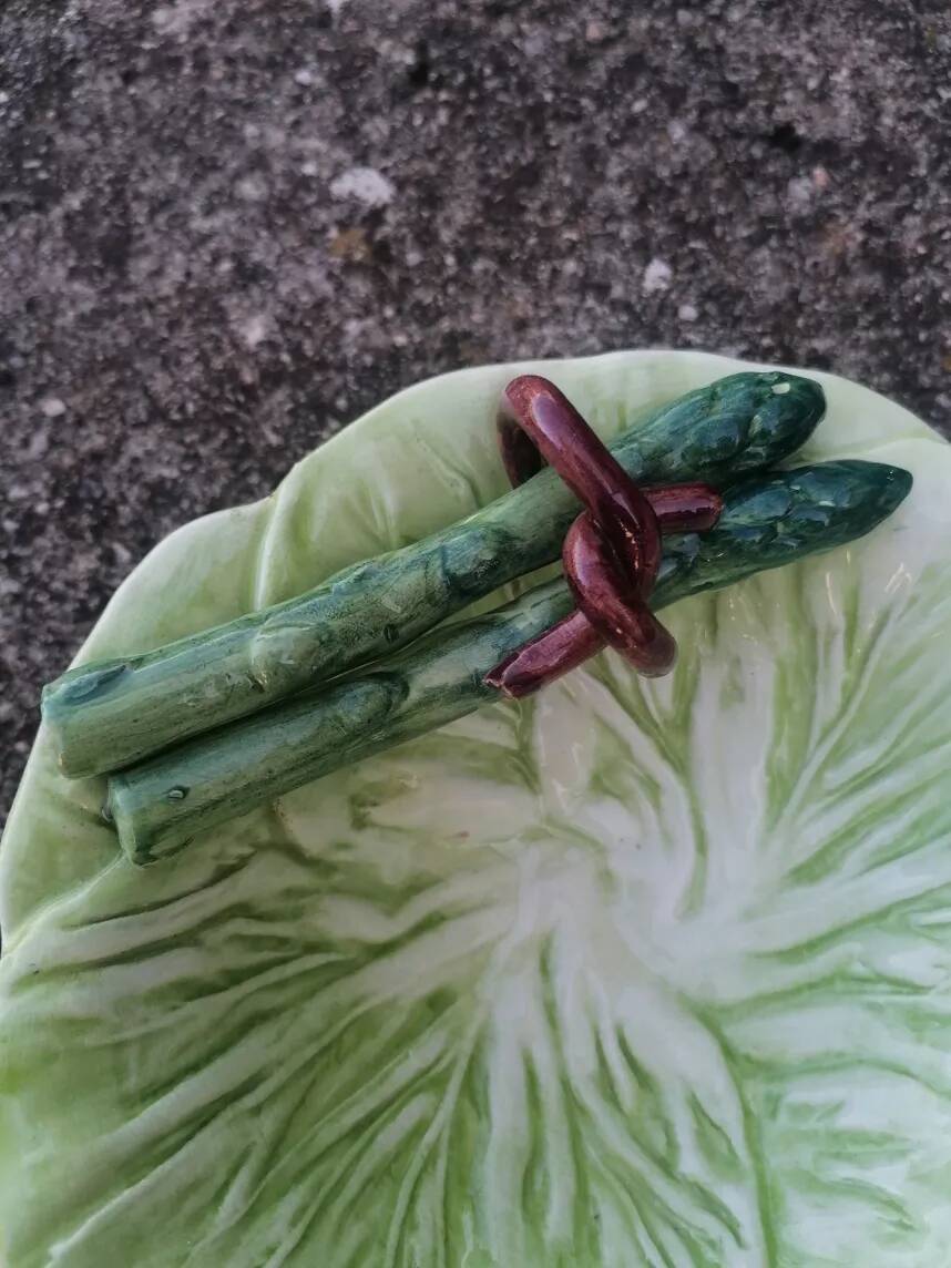Set of 3 vintage asparagus and cabbage leaves slip dishes made in Italy