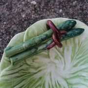Set of 3 vintage asparagus and cabbage leaves slip dishes made in Italy