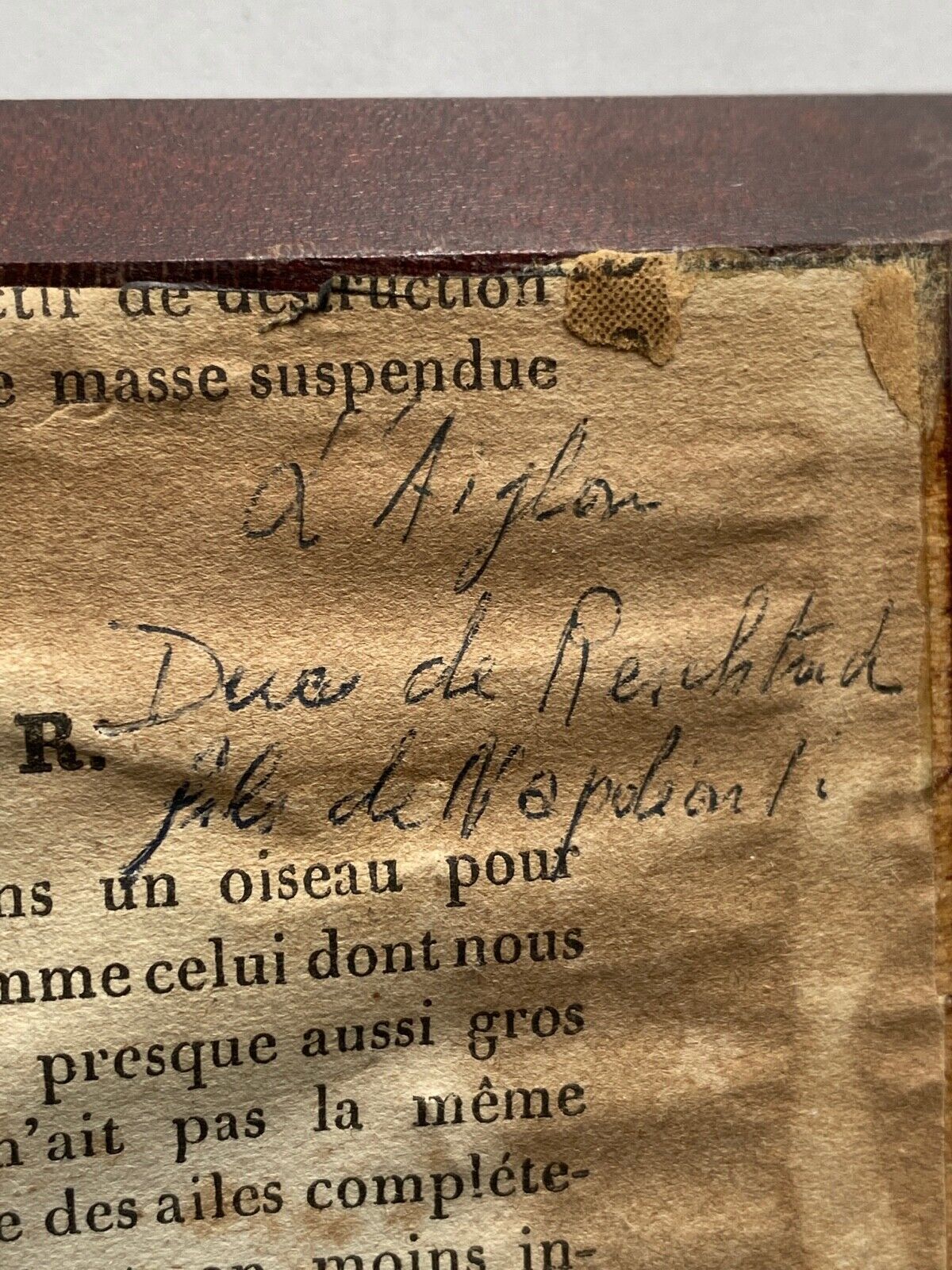 Hand-painted miniature by gille xxeme representing the eaglet