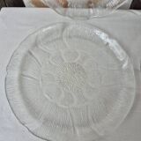 Arcoroc glass plates
