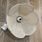 Cane suspension