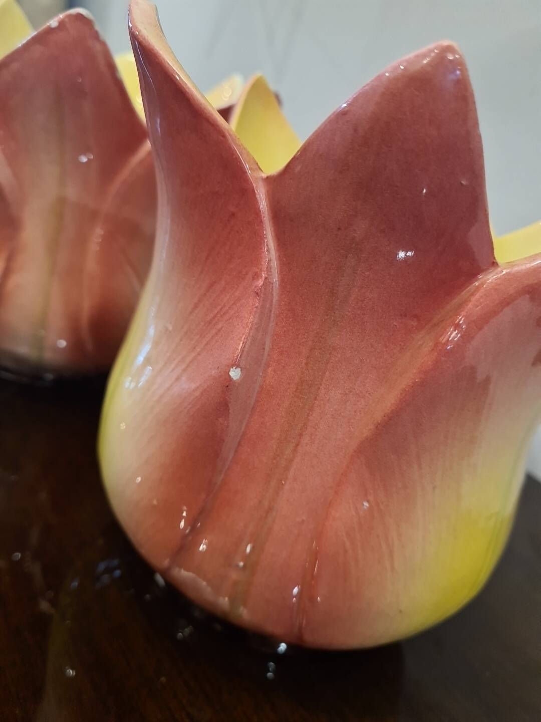 Pair of art nouveau plants signed delphin massier vallauris