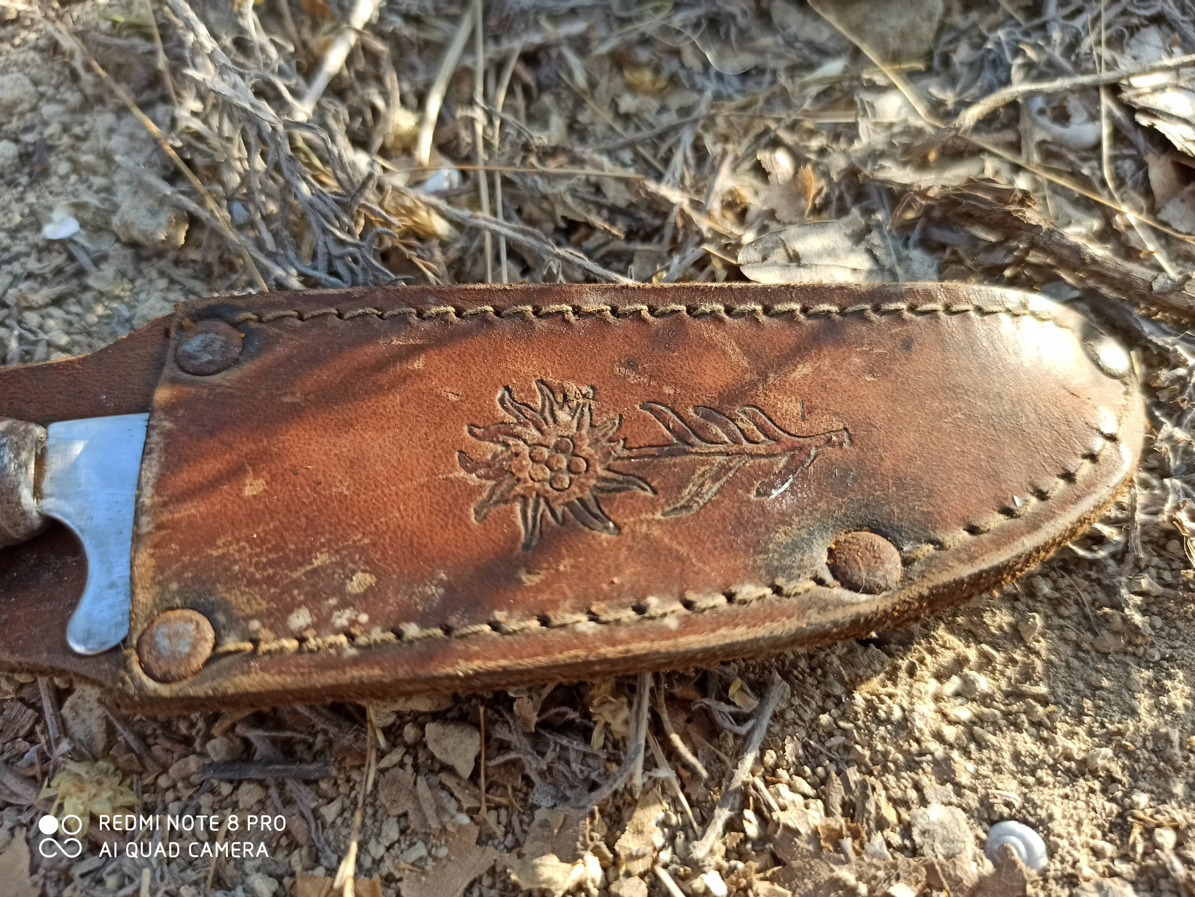 Old mushroom knife goat paste