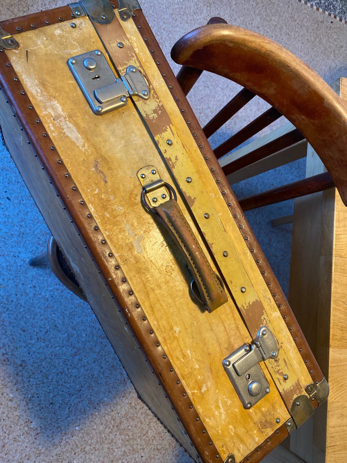 Luxury velun suitcase 1920