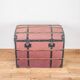 Transport trunk