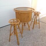 Rattan bar and stools