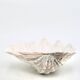 Natural white shell dish, 1970s.