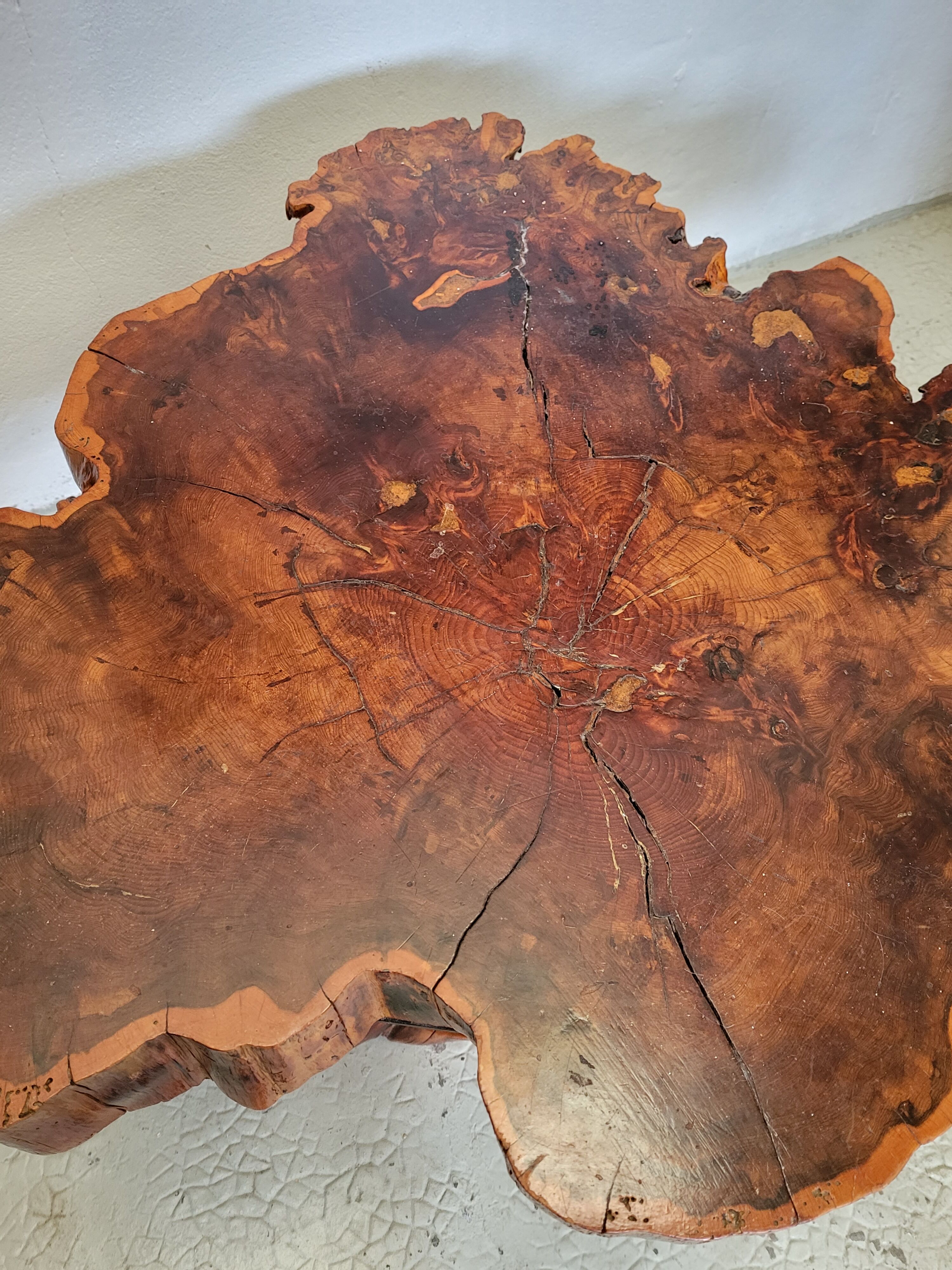 Brutalist table trunk old elm magnifying glass