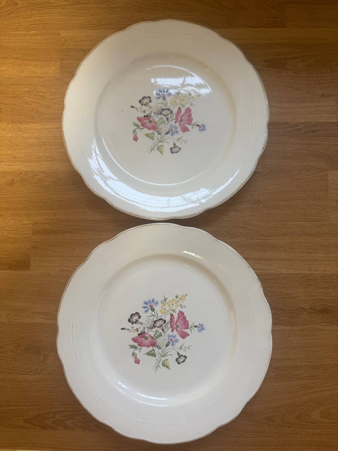 Pair of Sarreguemines Raspaud plates – Floral decoration