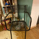 Garden armchair René Malaval Blocmetal 50s
