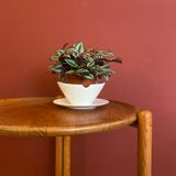 Danish bar tray / tea trolly