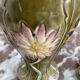 Vases en barbotine, paire, Art Nouveau, faïencerie DE BRUYN, signés, numéro