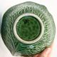 Cabbage leaf cup in green slurry from Portugal