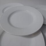Digoin 4 old flat plates