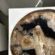 Large empty pocket or dish in petrified wood