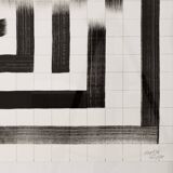 Dysfunctional structure n°2.