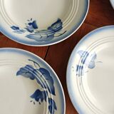 Set of 5 dessert plates, blue floral decoration