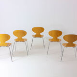 Special set of 5 Ant chairs by Fritz Hansen
