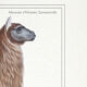 Chimera lithography animal engraving - the alpalion