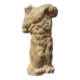 Roman torso in stone anatomical model ecorche