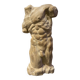 Roman torso in stone anatomical model ecorche