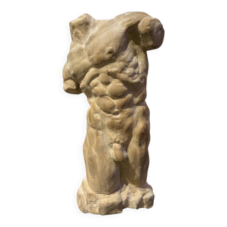 Roman torso in stone anatomical model ecorche