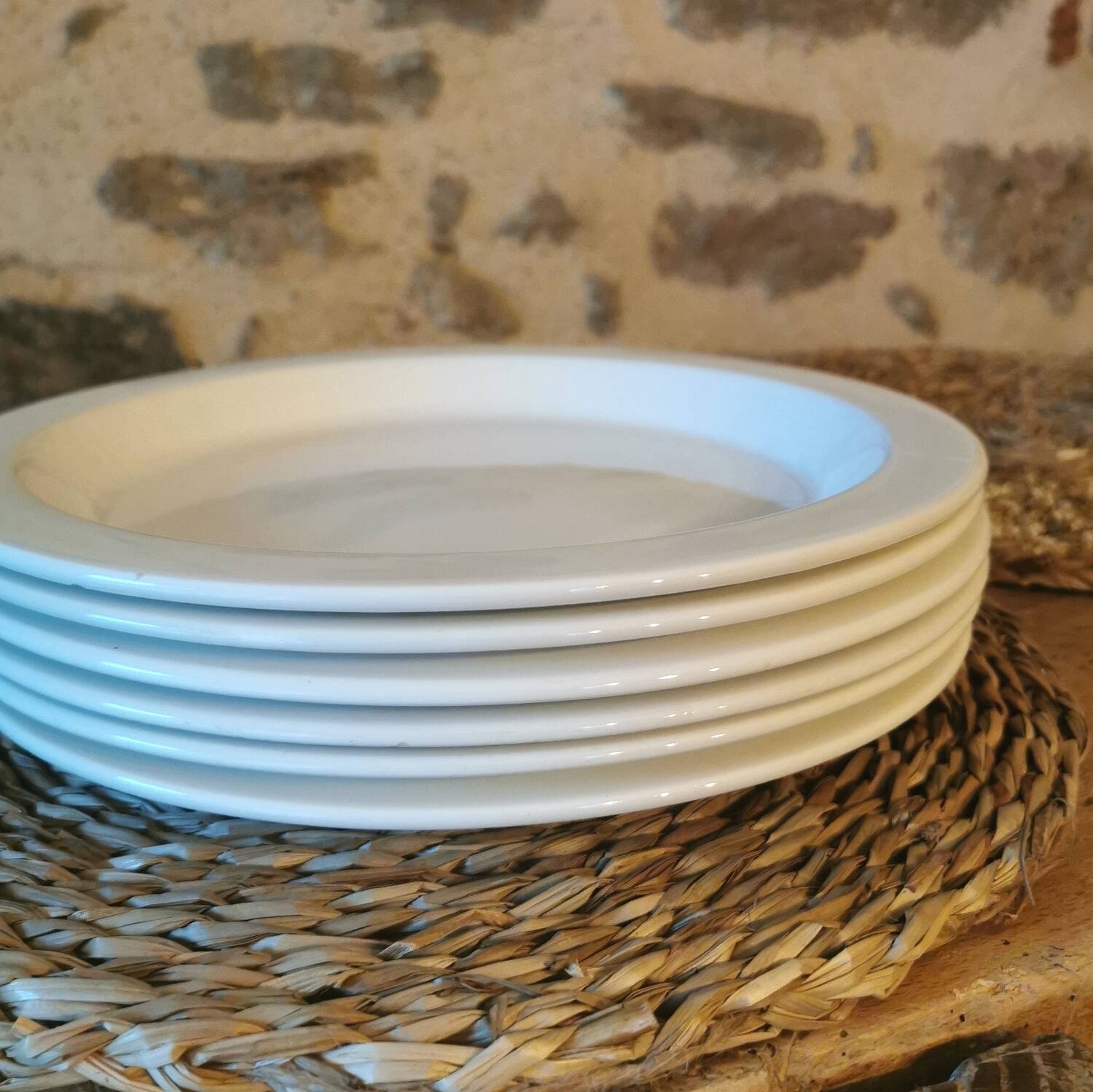 Vintage nesting dinner plates by Michel Hamon, Gien Prisunic