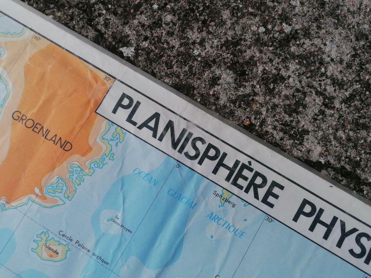 Planisphere world map vintage physics and vegetation