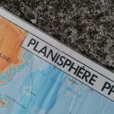 Planisphere world map vintage physics and vegetation