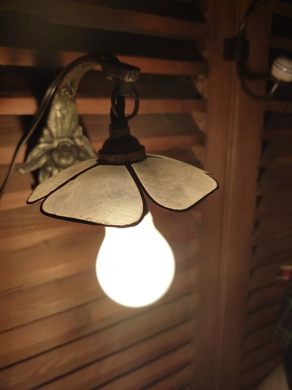 Wall lamp flower petal mother-of-pearl base bronze Rose dp 1122249