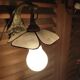 Applique lampe fleur pétale nacre base bronze Rose dp 1122249