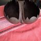 Coconut basket buttocks of Seychelles