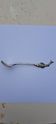 Sardine fork - WMFN