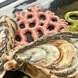 Large Vallauris slip dish 57x25 cm lobster fish