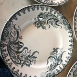 Flat plates earth of iron iris
