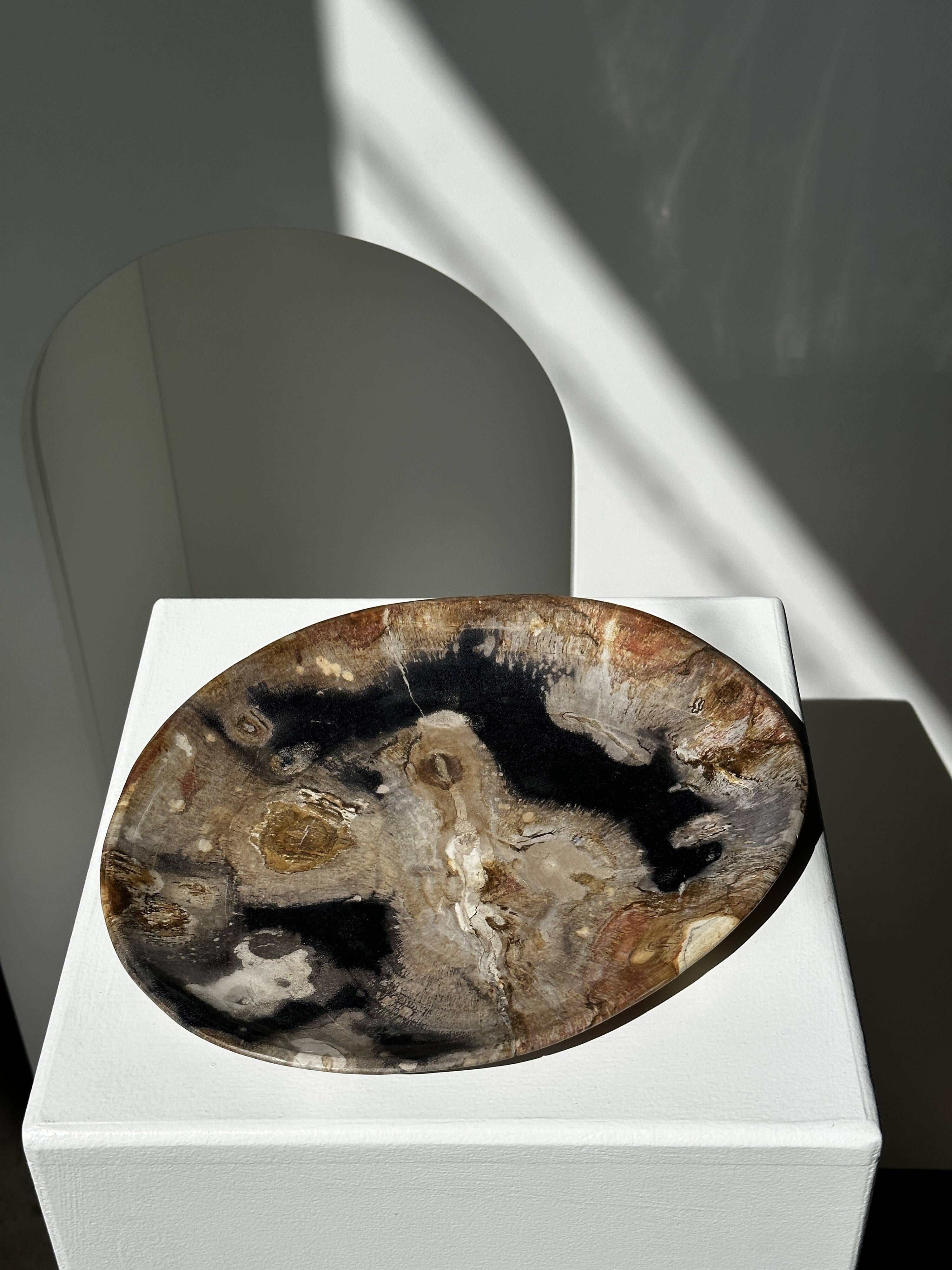 Large empty pocket or dish in petrified wood