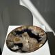 Large empty pocket or dish in petrified wood