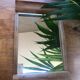 Plateau en bois clair miroir -  Art Déco