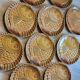 10 flat plates fish décor in vintage Sarreguemines slip