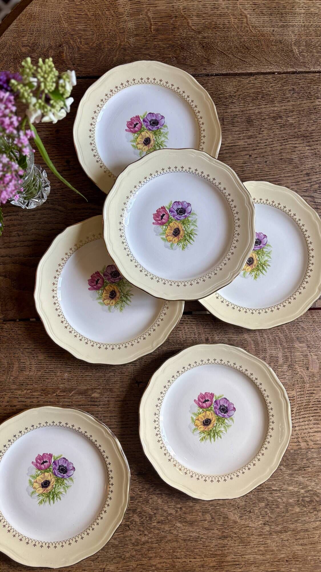 Set of 6 vintage dessert plates model Coopélia - L'Amandinoise